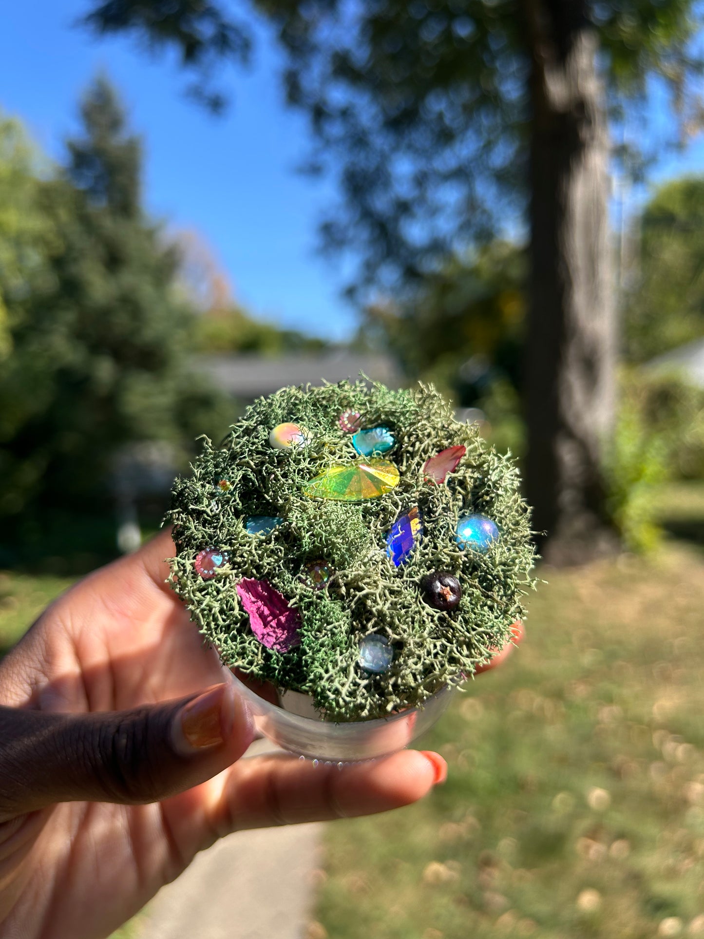 Enchanted Moss Jar